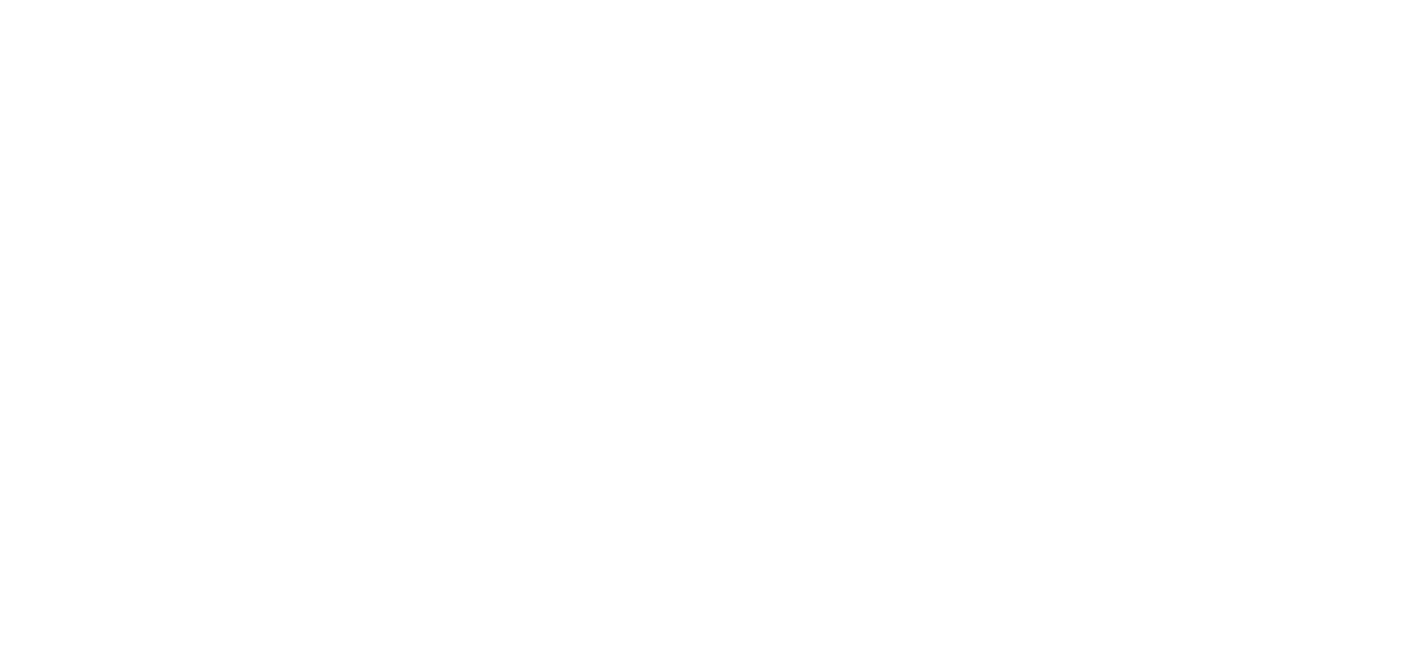 SystemPraktiker